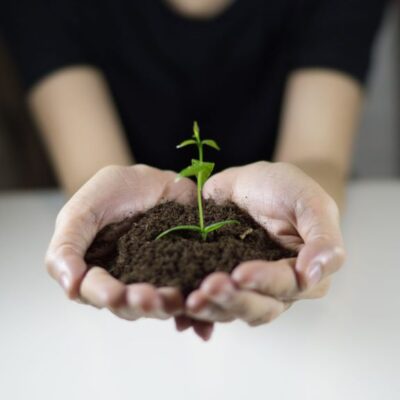 startup-1024 startup-1024